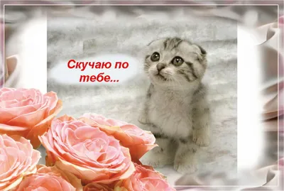 Скучаю по любимой девушке своими словами
