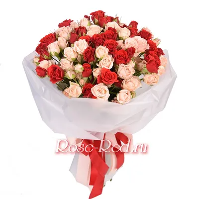 Роза для любимой женщины стоковое изображение. изображение насчитывающей  природа - 109541787
