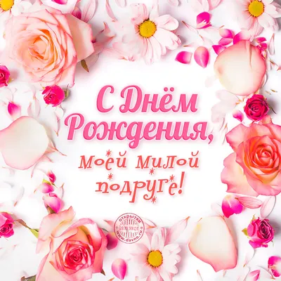 Смешные надписи на торт подруге - Фото и картинки с забавными надписями на  тортах - pictx.ru