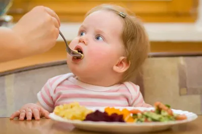 Питание ребенка после года: особенности, продукты, меню
