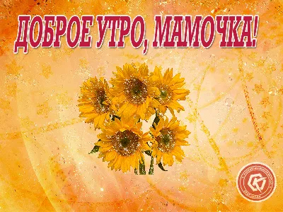 Картинка утро мамы (43 фото) » Юмор, позитив и много смешных картинок