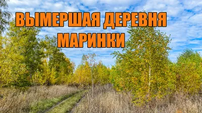 Мандаринки для Маринки (Михаил Володимиров) / Стихи.ру