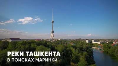 маринка #тикток #вадим #страстимаринки страсти Маринки часть16 | TikTok