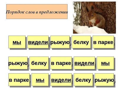 Книги на русском языке для детей in 68167 Маннгейм für 3,00 € zum Verkauf |  Shpock DE