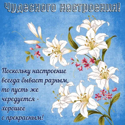 Открытки хорошего настроения