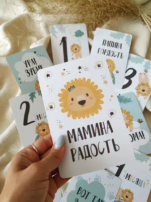 Развивающие карточки VeraKit Черно-белые для новорожденных 0+ Джунгли  купить по цене 465 ₽ в интернет-магазине Детский мир
