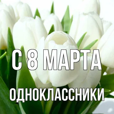 Поздравление с 8 марта | Интерактивный портал службы занятости населения  Тверской области