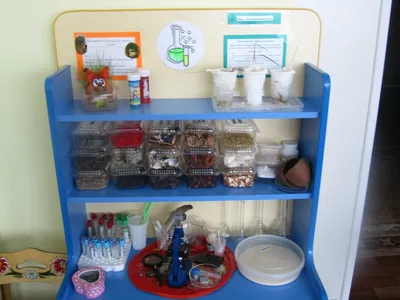 Экологическая лаборатория в детском саду (60 фото)