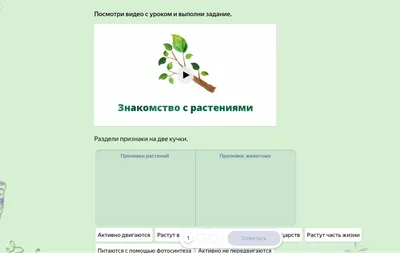 Раскраска явления природы раскраски для изучения окружающего мира р...