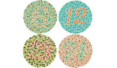 Фараби - Дальтонизм – офтальмологическое заболевание, когда у пациента  нарушается восприятие цветов. Здоровый человек легко различает и  воспринимает зеленый, красный, фиолетовый и синий цвета. А вот человек- дальтоник видит в них другие оттенки.