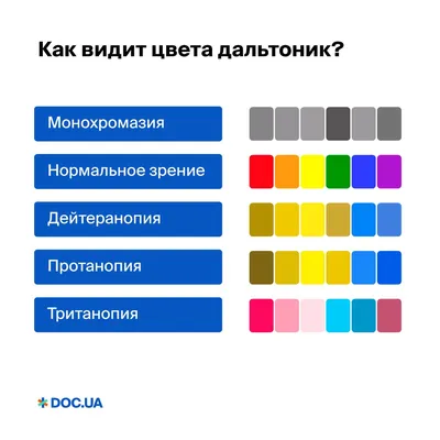 Colorlite - тест на дальтонизм