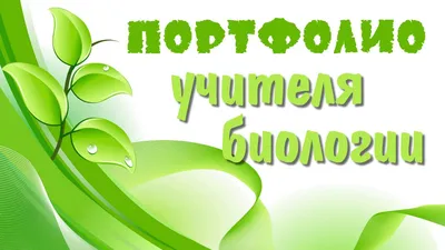 Электронное портфолио учителя, педагога, преподавателя - YouTube