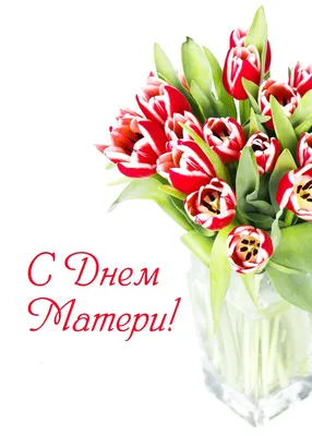 День матери - не просто дата в календаре... - Белорусский профессиональный  союз работников культуры, информации, спорта и туризма