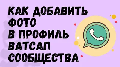 Как установить фото профиля (аватарку) в WhatsApp - YouTube