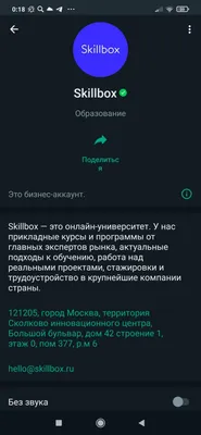 WhatsApp объявил о запуске каналов в мессенджере - АЗЕРТАДЖ
