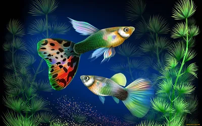 Discus Fish Aquarium Fish Tank — Приложения Майкрософт