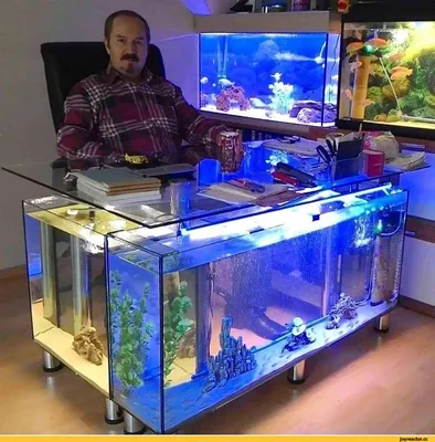 Домашние аквариумы Filterate, стеклянный аквариум для украшения рабочего  стола, аквариумы, аквариум для рыб, маленькие товары Vivarium Peceras  QF50FT | AliExpress