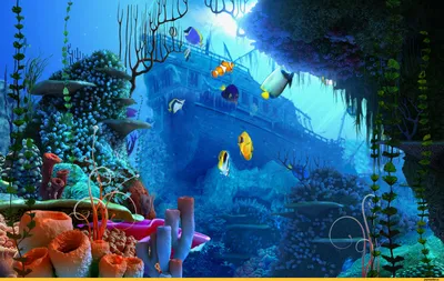 Обои аквариум - подводный мир | Своя — обои и картинки