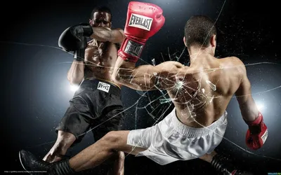 Скачать обои бокс, удар, нокаут, ринг бесплатно для рабочего стола в  разрешении 1680x1050 — картинка №382646 | Everlast boxing, Everlast,  Workout motivation music