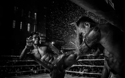 Картинки бокс, василий ломаченко, ринг, победа, боксер - обои 1920x1080,  картинка №201362