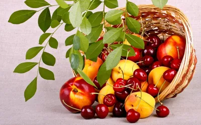 Изображение Обои фрукты, яблоко, лето, вкусно, еда, красное на рабочий стол.  на рабочий стол hd