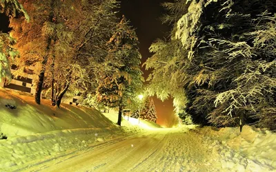 Зима снег, деревья, лес фото, обои на рабочий стол