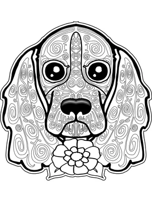 Раскраска собака ши-тцу мандала черно-белая | Премиум Фото