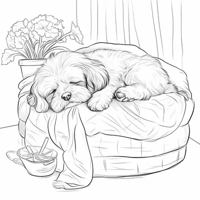 Strawberry shortcake coloring pages, Puppy coloring pages, Animal coloring  pages