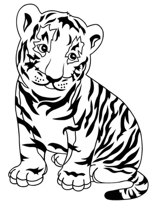 Тигр картинка раскраска - 79 фото
