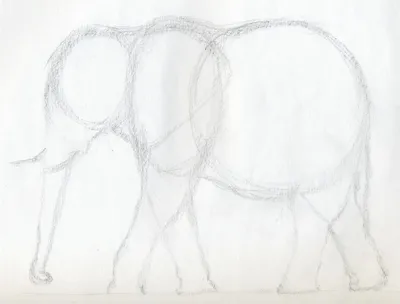 Курсы рисования как рисовать слона карандашом? | АРТАКАДЕМИЯ Курсы рисования  Киев