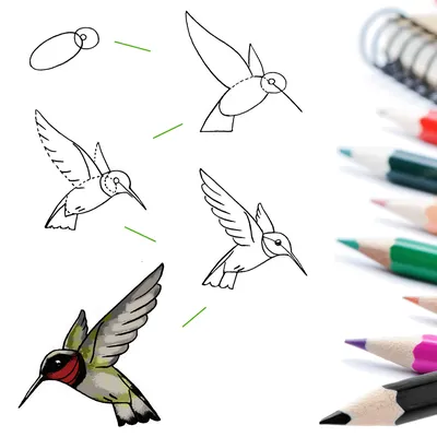 Как рисовать тени карандашом карандашом: 5 простых уроков с примерами |  web-paint.site
