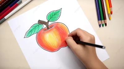 Легкие рисунки картинки карандашом для начинающих поэтапно