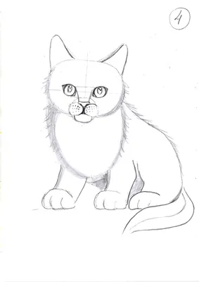 Рисунки милашки животные легкие карандашом для начинающих (49 фото) »  рисунки для срисовки на Газ-квас.ком