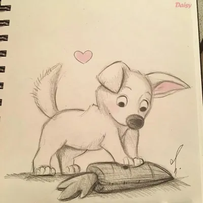 Рисунки для срисовки карандашом красивые и легкие для начинающих милых  животных