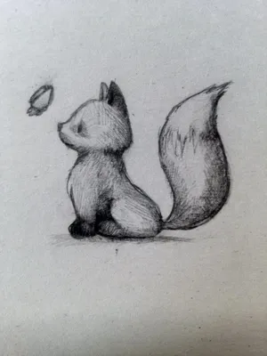 Рисунки карандашом легкие для начинающих животные милые (43 фото) » рисунки для  срисовки на Газ-квас.ком