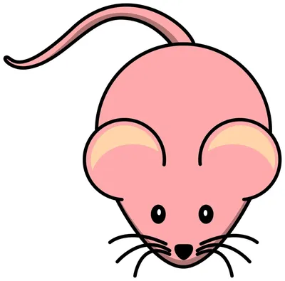 KidToys.pro - Сокровищница детских игр и игрушек, познавалок и развлекушек  - Мышка. Учимся рисовать мышку. Урок рисования мышки по шагам для детей. # мышь #мышка #мышонок #урок #рисование #учимся #рисовать | Facebook
