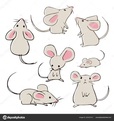 Раскраска милая маленькая. Милая маленькая мышка. Лучшие раскраски.