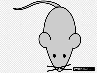 Рисунок мышки легкий - 59 фото