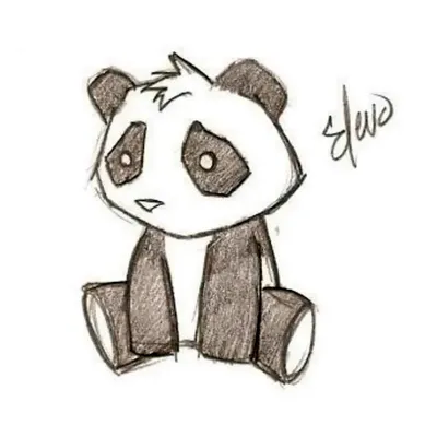 Фото и Картинки для срисовки панды