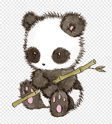 Легкие рисунки панды - 68 фото