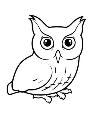 Owl Coloring Page, FREE Coloring Page Template Printing Printable OWL  Coloring Pages for Kids, OWL | Раскраски с совой, Рисунок птиц, Раскраски