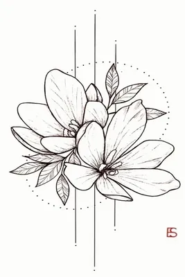 Рисунки для срисовки поэтапно😍 | Easy drawings, Rose drawing, Flower  drawing