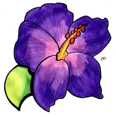 Легкие рисунки цветов для срисовки - 62 фото