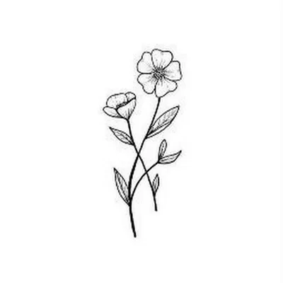Цветы для срисовки легкие jarim (39 шт)