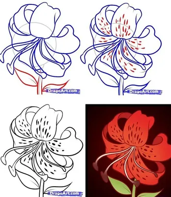 Как нарисовать цветы легко (55 фото) » Идеи поделок и аппликаций своими  руками - Папикпро.КОМ