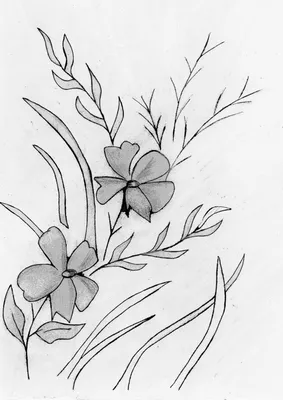 Рисунки карандашом легкие для срисовки цветы - 85 фото