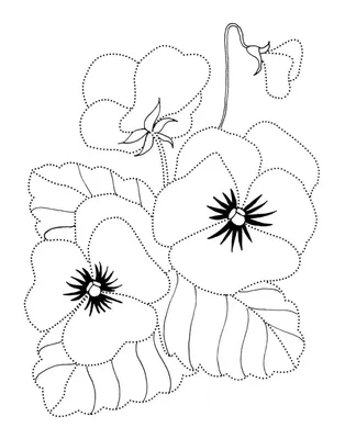 Картинка интересный цветок ❤ для срисовки