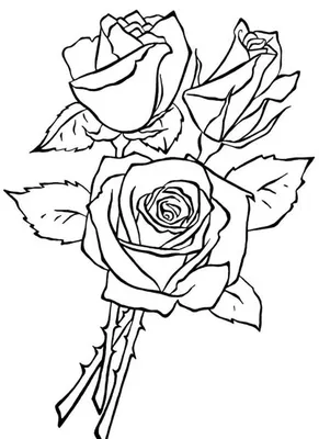 Рисунки цветы для срисовки: красивые картинки цветов карандашами и  фломастерами