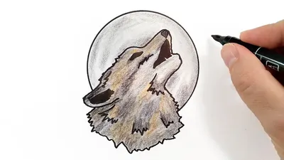 Как нарисовать Волк воет на луну - YouTube