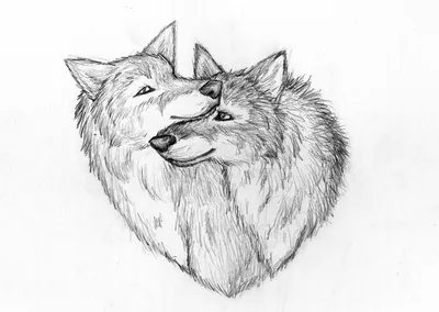 рисунок волка черный волк лицом влево стикер дикого животного - TenStickers